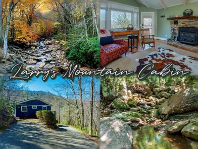 Larry's Mountain Cabin