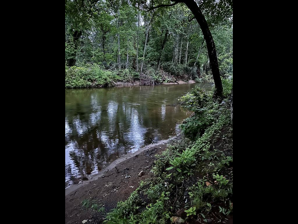 Rivers Edge Cabin Riverfront / Swimming / Beach Area / Fishing