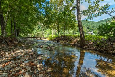 Cottage at Bolens Creek